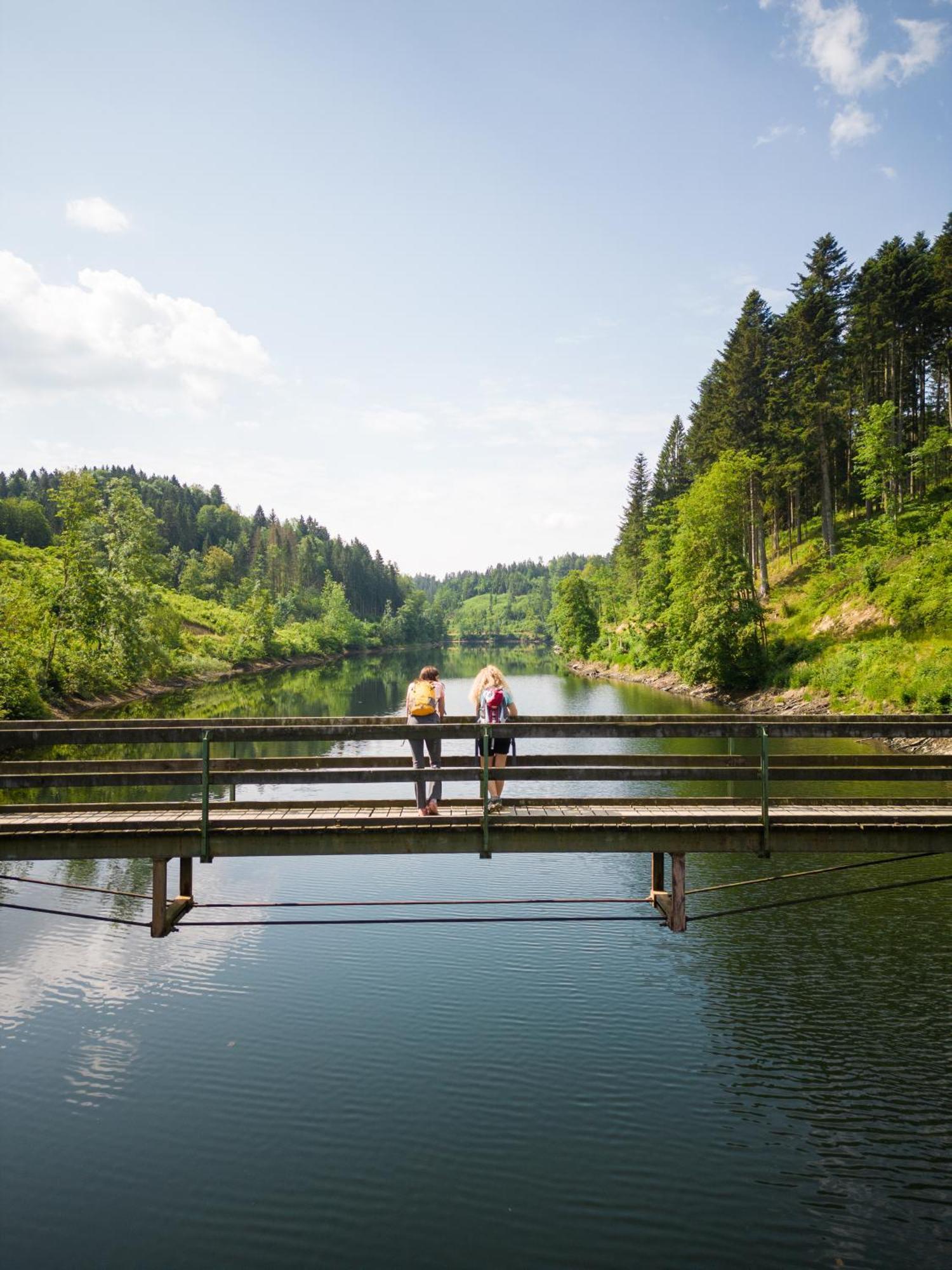 Апартаменты Am Wildbach Bei Passau Saming Экстерьер фото
